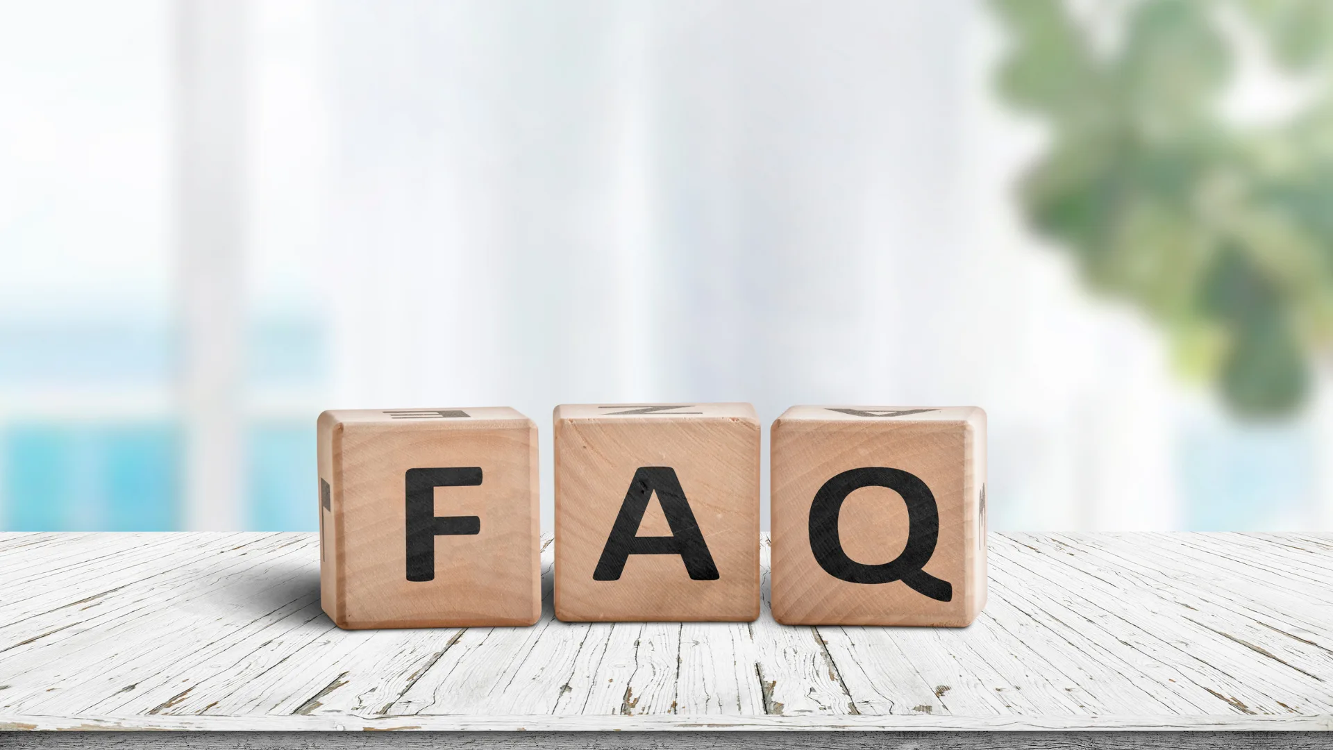 白文字で「Q&A」と書かれた木製ブロックと観葉植物。